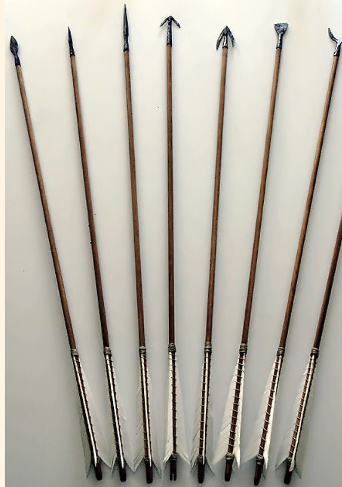 Pack De 12 Flèches Carbone SP500 30 Pouces Pour Tir à L'arc